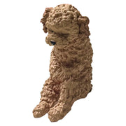 Poodle