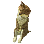 Shibu Inu