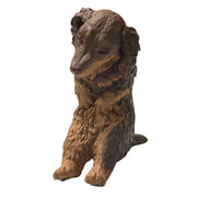 Dachshund