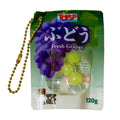 Squishy Fruit Package Gashapon Keychain